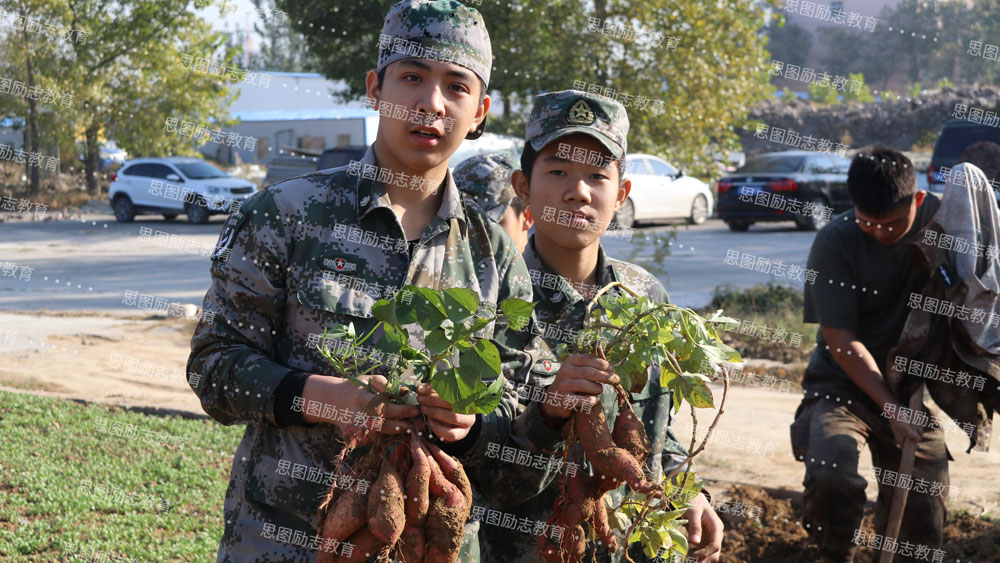 孩子爱玩手机游戏不听话怎么办?